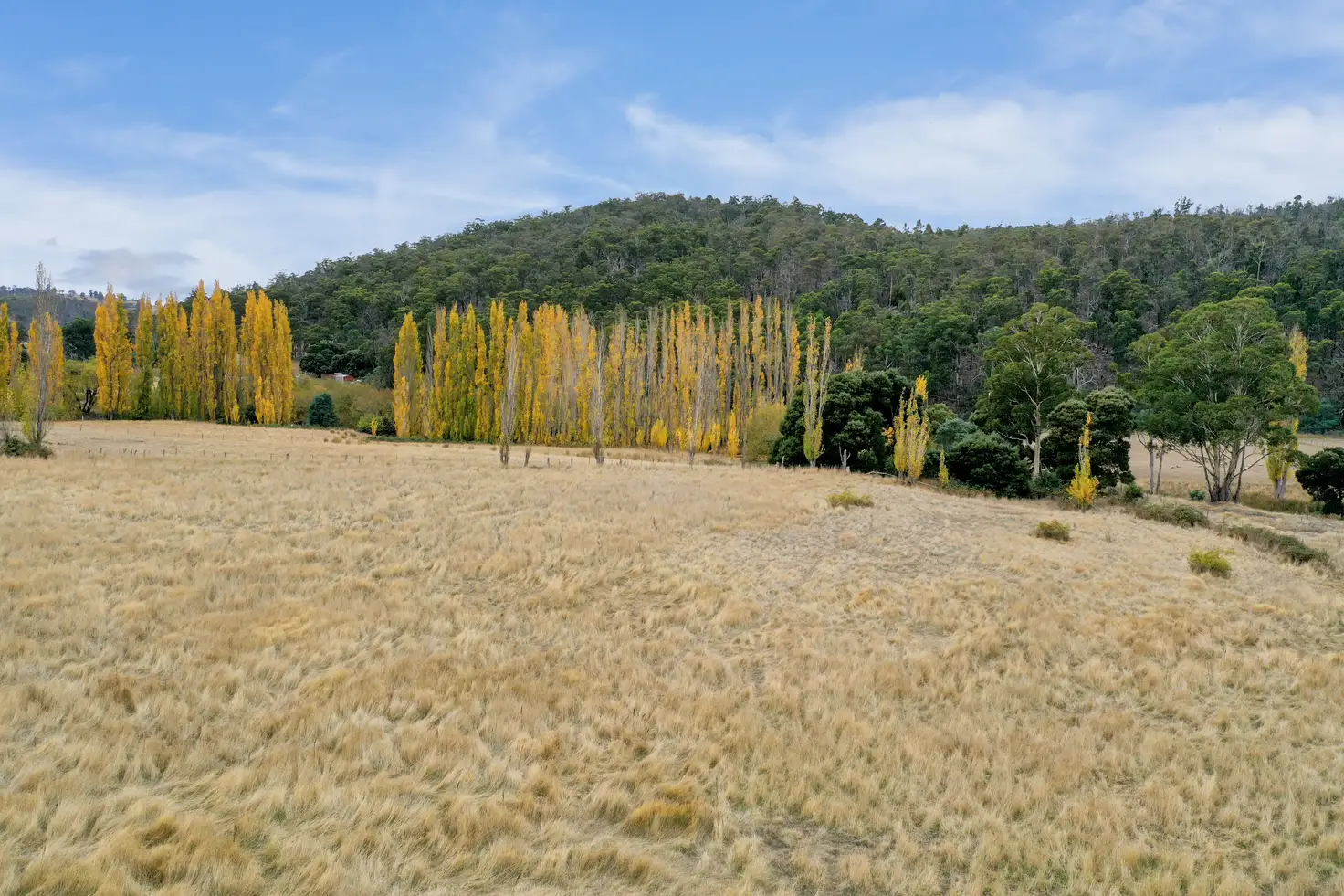 Main view of Homely land listing, Lot 1 Ellendale Road, Fentonbury TAS 7140