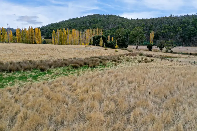 Third view of Homely land listing, Lot 1 Ellendale Road, Fentonbury TAS 7140