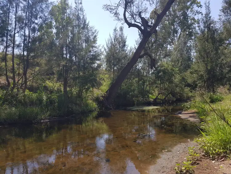 Fourth view of Homely rural property listing, 239 Golf Links Road, Monto QLD 4630