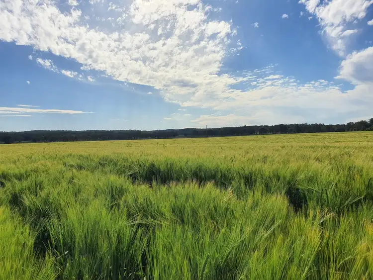 Fifth view of Homely rural property listing, 239 Golf Links Road, Monto QLD 4630