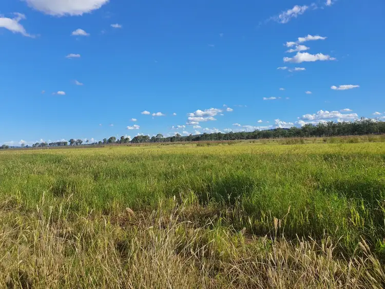 Seventh view of Homely rural property listing, 239 Golf Links Road, Monto QLD 4630