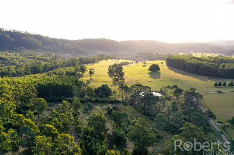 60 Hodgetts Road, Holwell TAS 7275
