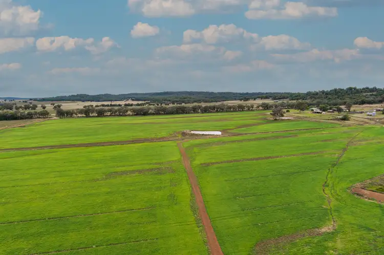 Main view of Homely rural property listing, 130 Beni Road, Merrygoen NSW 2831
