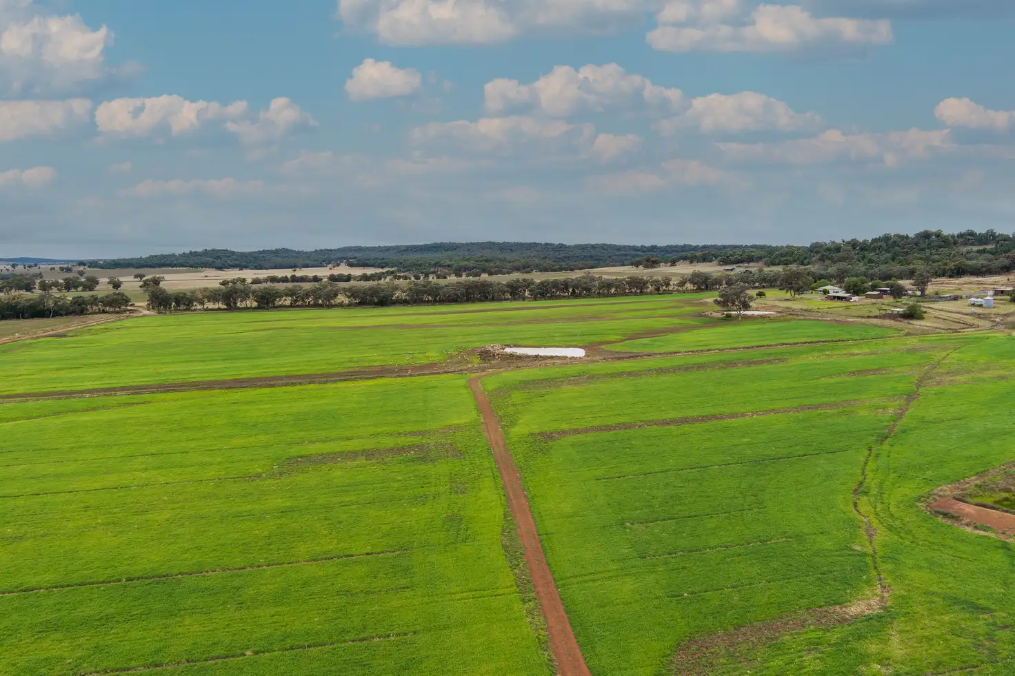 Main view of Homely rural property listing, 130 Beni Road, Merrygoen NSW 2831