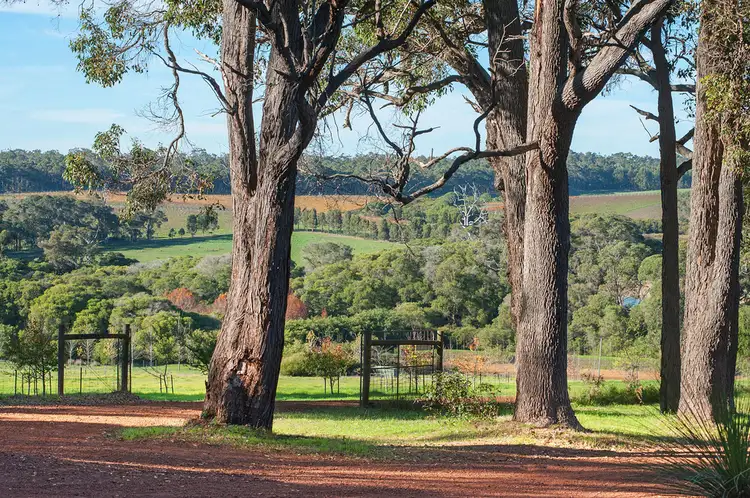 Main view of Homely rural property listing, 19 & 20 Morris Road, Forest Grove, Margaret River WA 6285