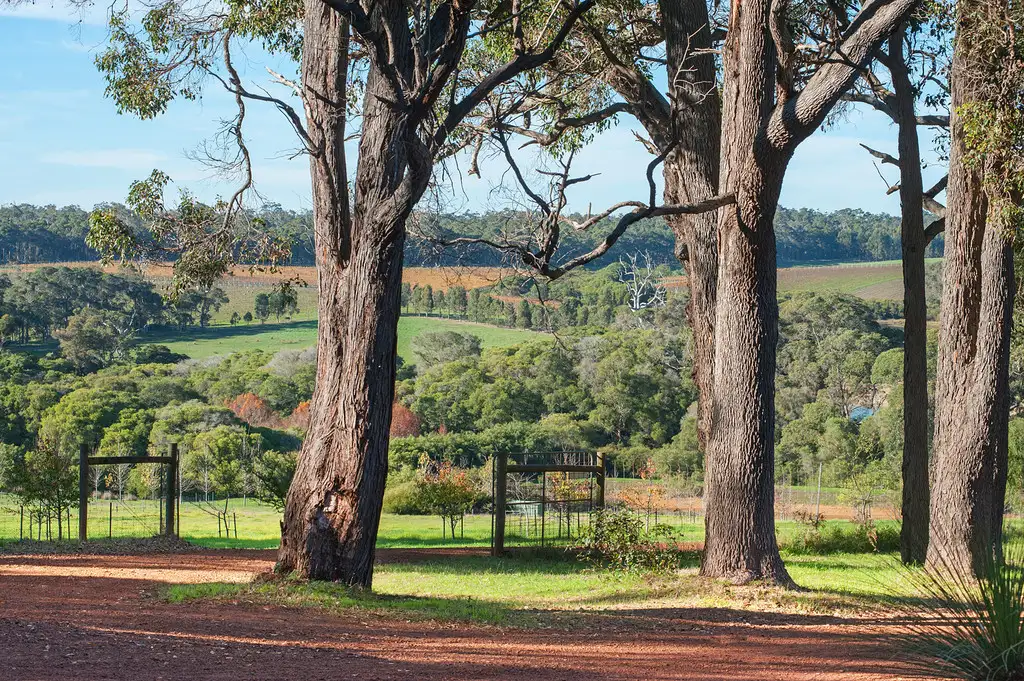 Main view of Homely rural property listing, 19 & 20 Morris Road, Forest Grove, Margaret River WA 6285