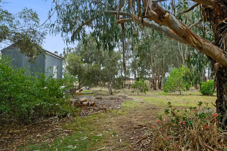 Seventh view of Homely house listing, 12 Withers Street, Longwood VIC 3665