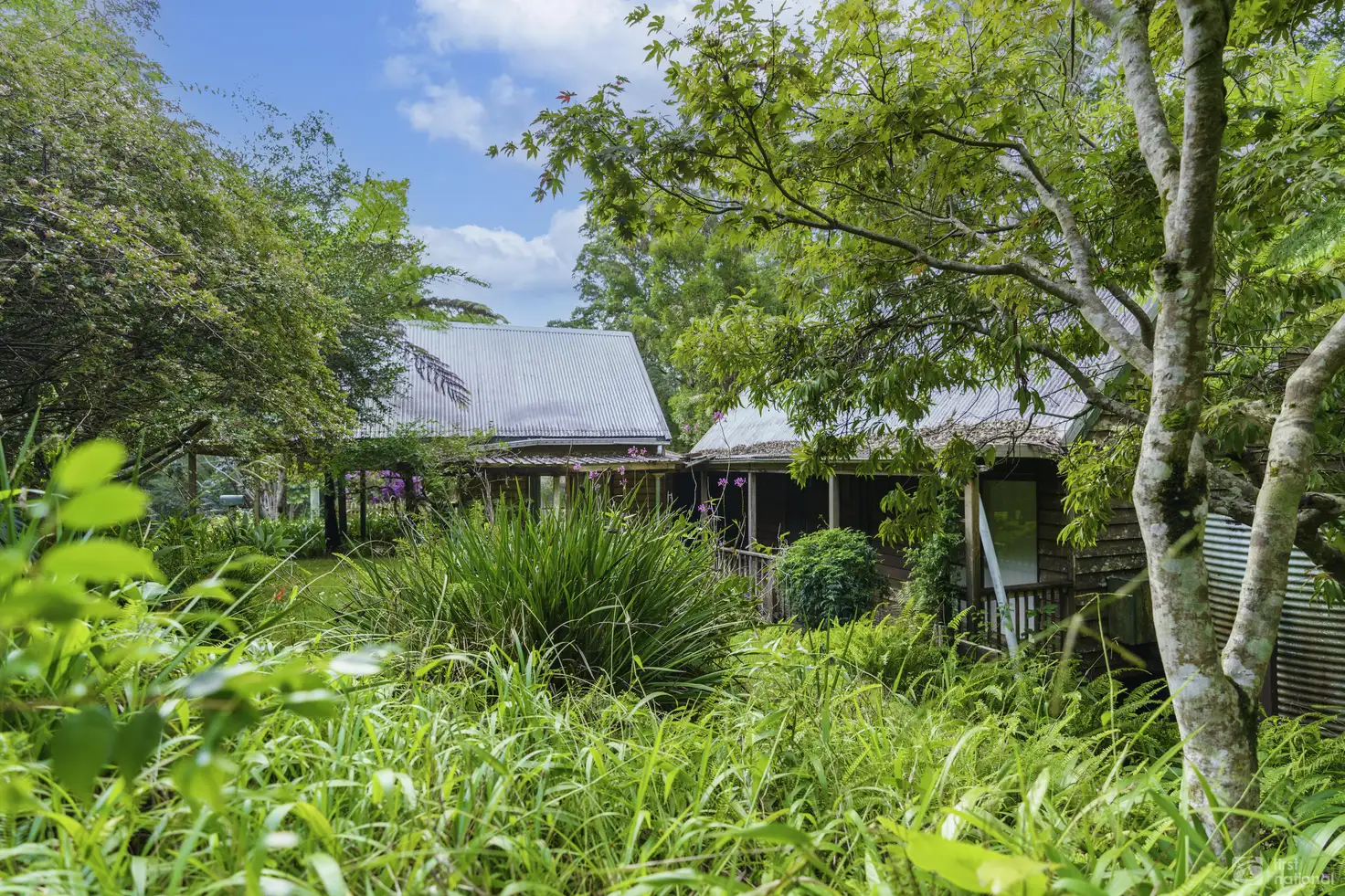 Main view of Homely house listing, 19 Kinabalu Drive, Tamborine Mountain QLD 4272