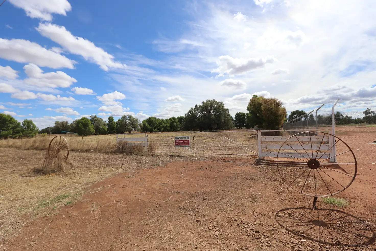 Main view of Homely land listing, 38 Wollongough Street, Ungarie NSW 2669