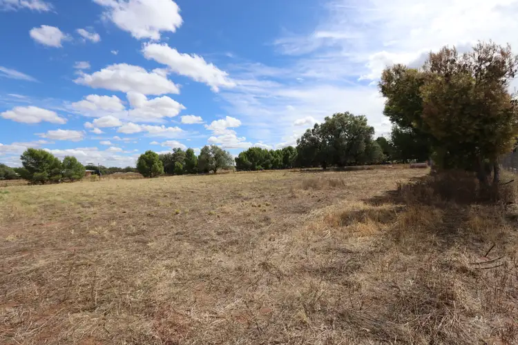 Fifth view of Homely land listing, 38 Wollongough Street, Ungarie NSW 2669