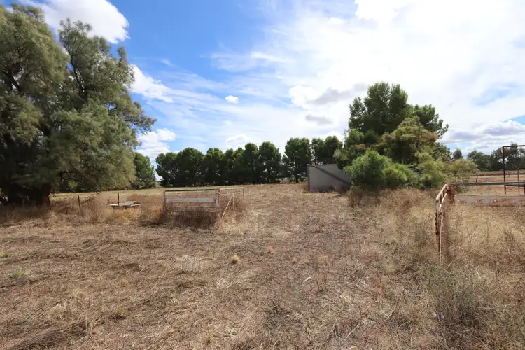 Sixth view of Homely land listing, 38 Wollongough Street, Ungarie NSW 2669