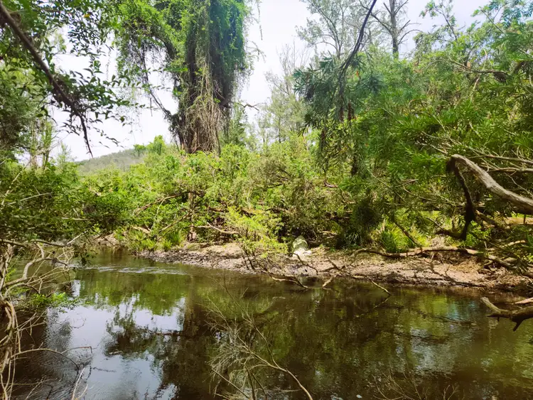 Second view of Homely rural property listing, 4250 Nowendoc Road, Number One NSW 2424