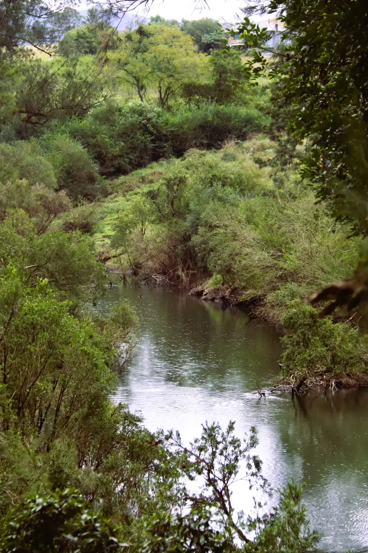 Third view of Homely rural property listing, 4250 Nowendoc Road, Number One NSW 2424