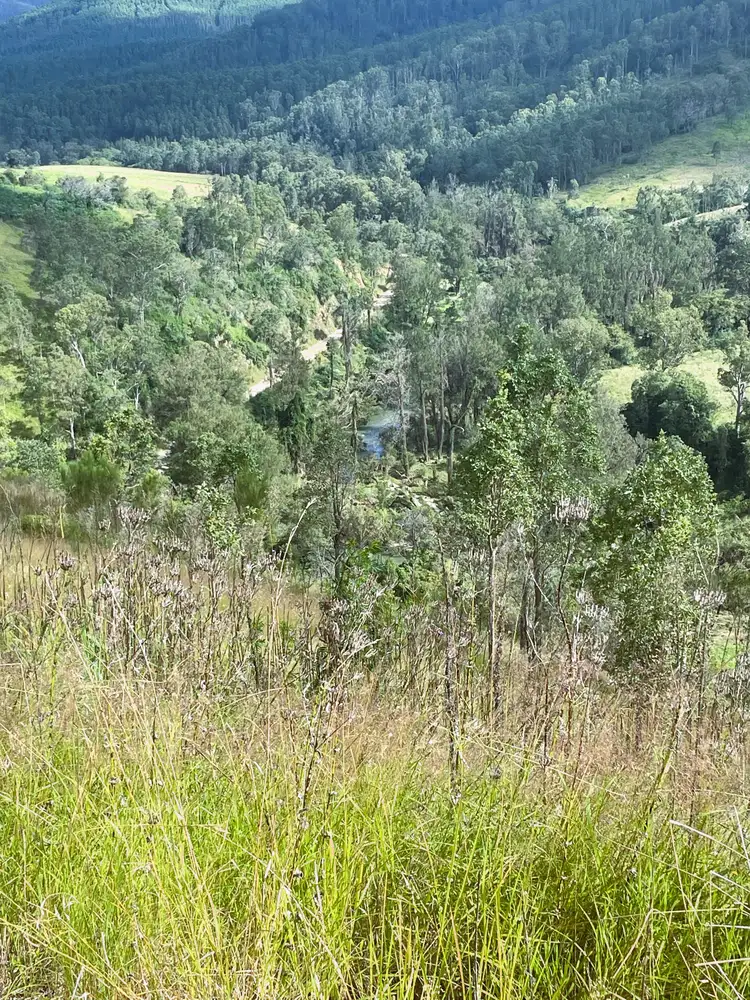 Fifth view of Homely rural property listing, 4250 Nowendoc Road, Number One NSW 2424