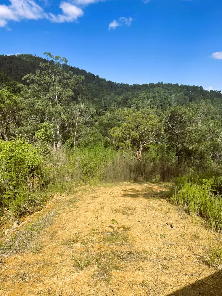 Sixth view of Homely rural property listing, 4250 Nowendoc Road, Number One NSW 2424