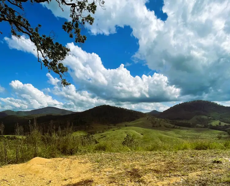 Seventh view of Homely rural property listing, 4250 Nowendoc Road, Number One NSW 2424