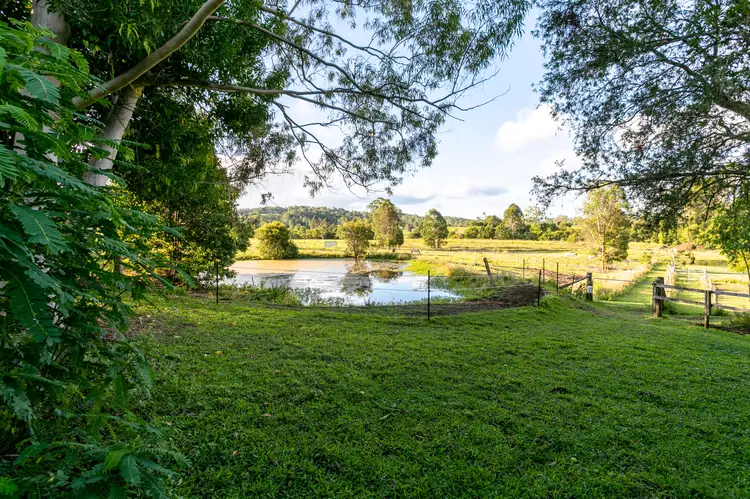 Fifth view of Homely house listing, 31 Browns Road, Belli Park QLD 4562