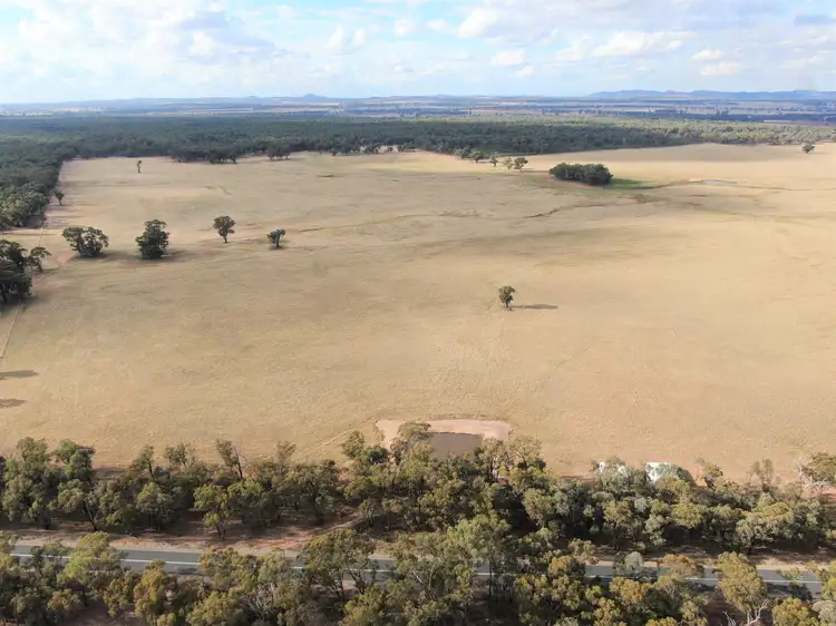 640 Thanowring Road, (Pucawan), Temora NSW 2666