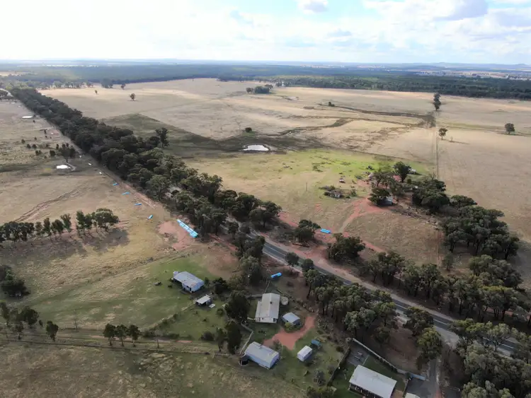Seventh view of Homely rural property listing, 640 Thanowring Road, (Pucawan), Temora NSW 2666