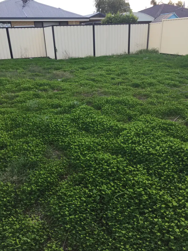 Second view of Homely land listing, 42a Hamersley, Midland WA 6056