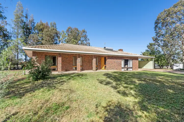 20 Twentyfifth Street, Renmark SA 5341