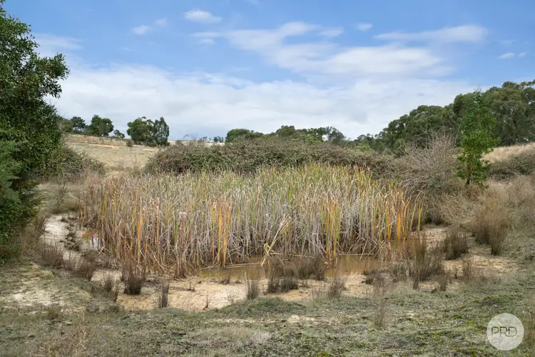 Sixth view of Homely land listing, LOT 1 Young Street, Linton VIC 3360