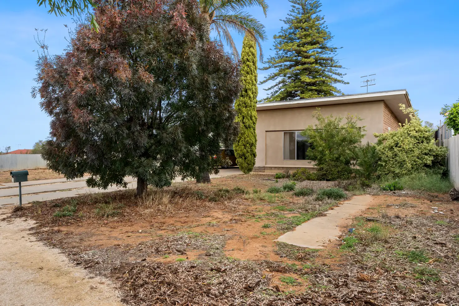 Main view of Homely house listing, 16 Laffer Street, Loxton SA 5333