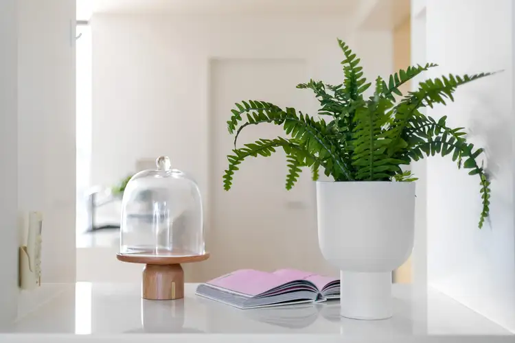 Fifth view of Homely house listing, 7/53 Stadium Drive, Floreat WA 6014