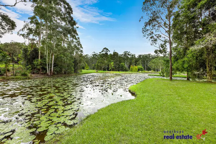 Fourth view of Homely rural property listing, 53 Manzanillo Drive, King Creek NSW 2446