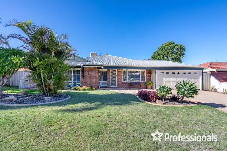 41 Lyrebird Loop, Seville Grove WA 6112