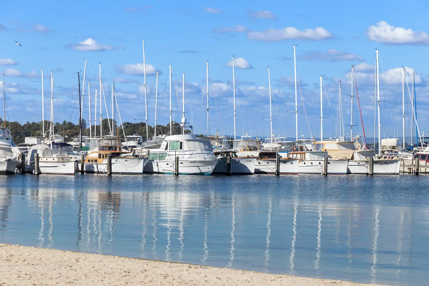 Main view of Homely apartment listing, 14/27 St Leonards Street, Mosman Park WA 6012