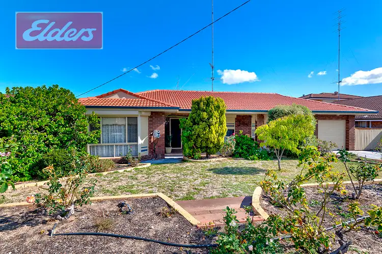 Second view of Homely house listing, 66 Parkfield Way, Australind WA 6233