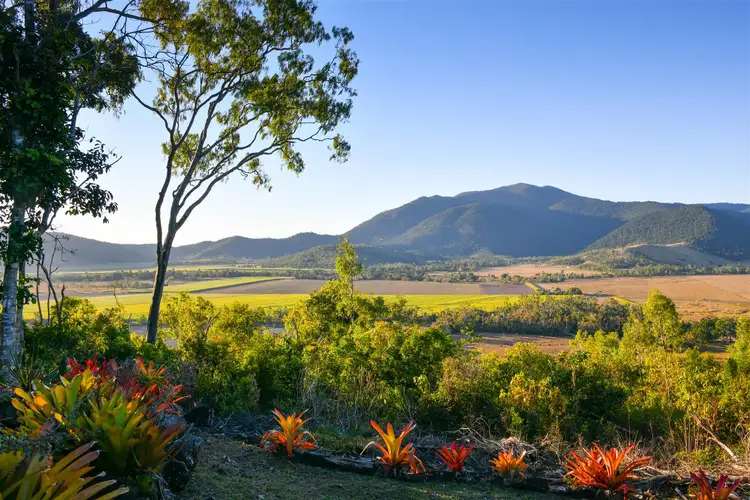 Main view of Homely house listing, 97 Muller Road, Myrtlevale QLD 4800