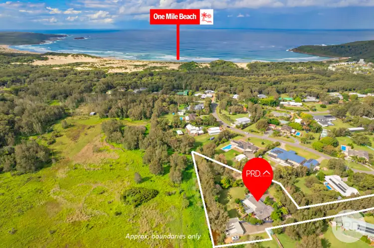 Second view of Homely house listing, 16 Melaleuca Drive, One Mile NSW 2316
