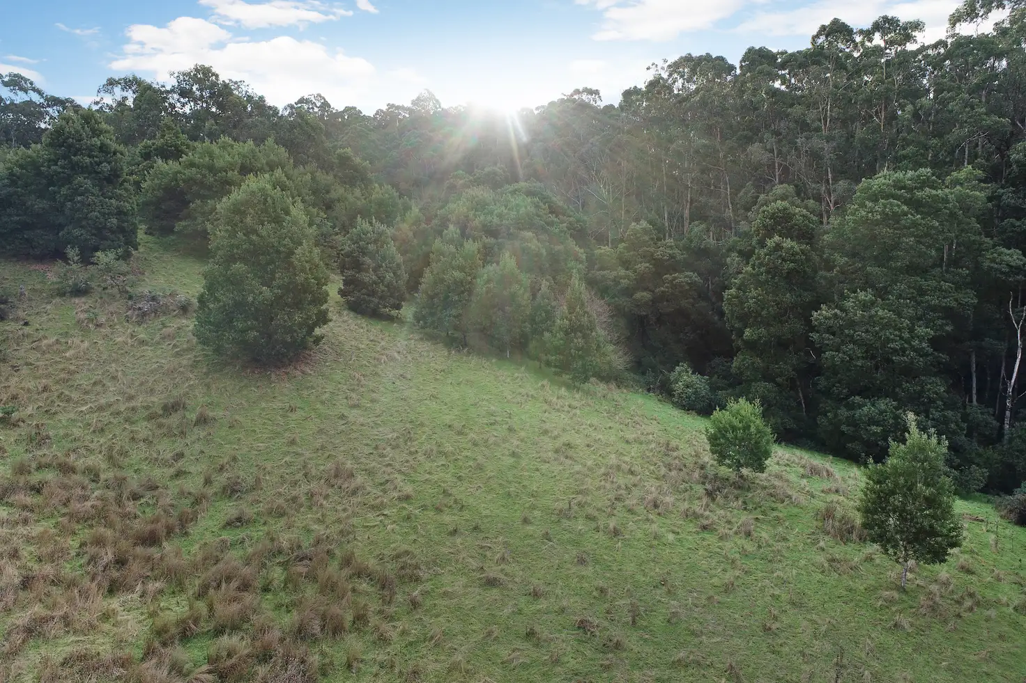 Main view of Homely rural property listing, 30 Roadknight Creek Road, Forrest VIC 3236