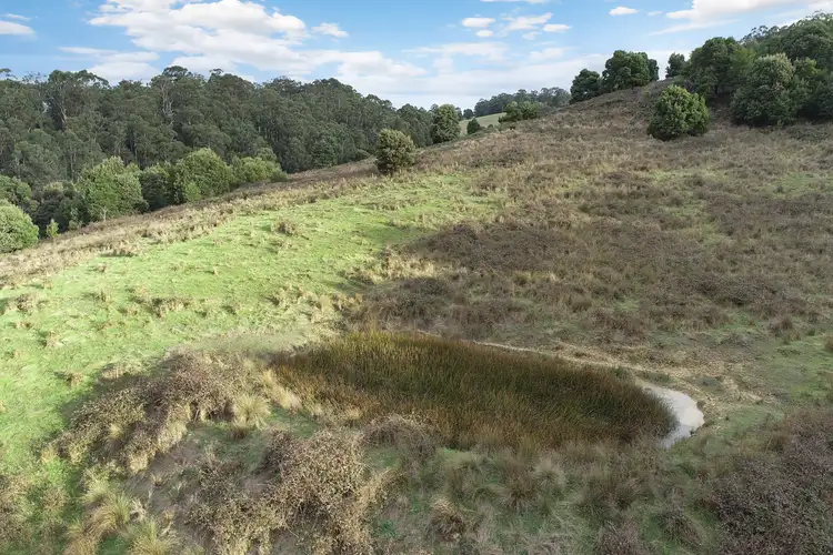 Second view of Homely rural property listing, 30 Roadknight Creek Road, Forrest VIC 3236