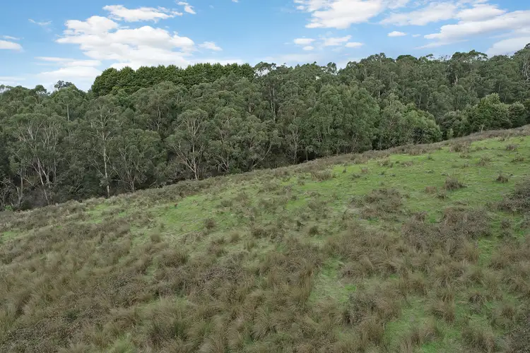 Third view of Homely rural property listing, 30 Roadknight Creek Road, Forrest VIC 3236