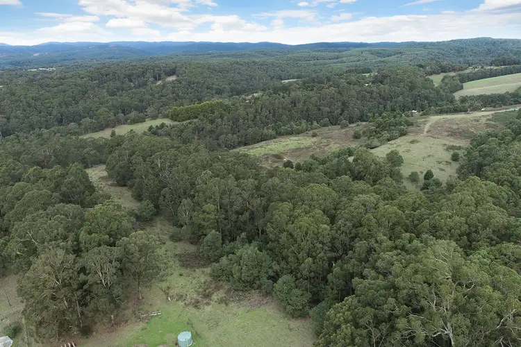 Fourth view of Homely rural property listing, 30 Roadknight Creek Road, Forrest VIC 3236