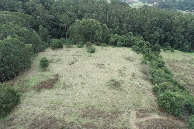 Seventh view of Homely rural property listing, 30 Roadknight Creek Road, Forrest VIC 3236