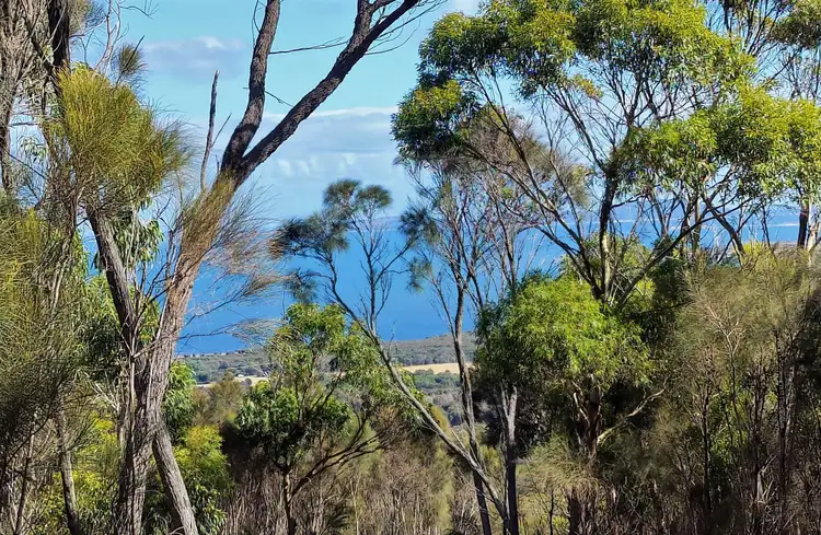 Second view of Homely land listing, LOT 1, 1106 Palana Road, Blue Rocks TAS 7255