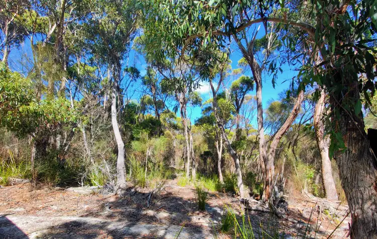 Third view of Homely land listing, LOT 1, 1106 Palana Road, Blue Rocks TAS 7255