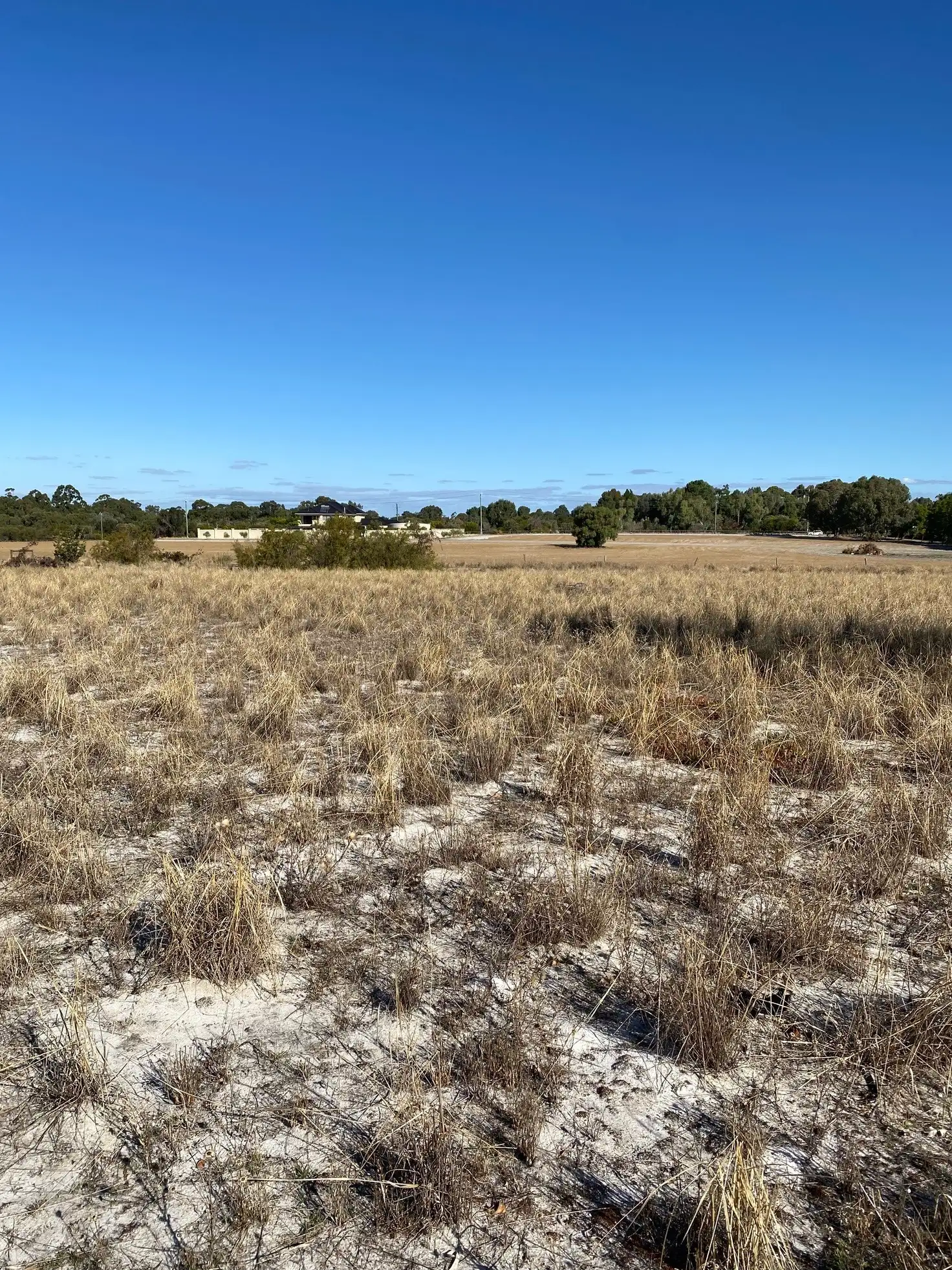 Main view of Homely rural property listing, 25 Carriage Chase, Banjup WA 6164