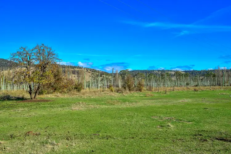 Fifth view of Homely house listing, 1697 Glenora Road, Bushy Park TAS 7140