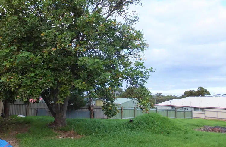 Second view of Homely land listing, 30A Spence Street, Ravensthorpe WA 6346