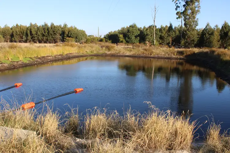 Fourth view of Homely rural property listing, 442 Goss Road, Uduc WA 6220