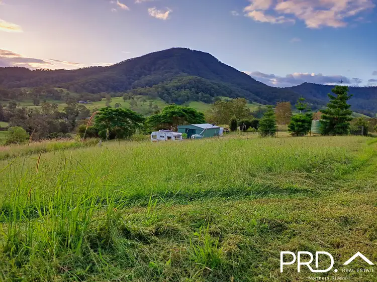 Main view of Homely rural property listing, 67 Collins Valley Road, Lynchs Creek NSW 2474