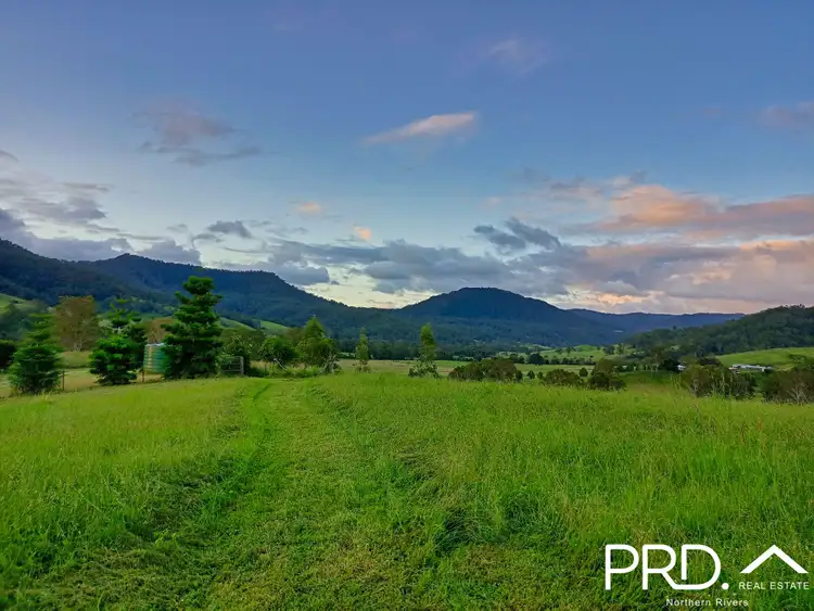 Second view of Homely rural property listing, 67 Collins Valley Road, Lynchs Creek NSW 2474