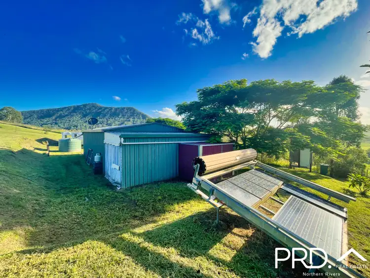 Fifth view of Homely rural property listing, 67 Collins Valley Road, Lynchs Creek NSW 2474