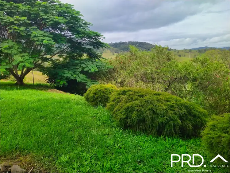 Seventh view of Homely rural property listing, 67 Collins Valley Road, Lynchs Creek NSW 2474