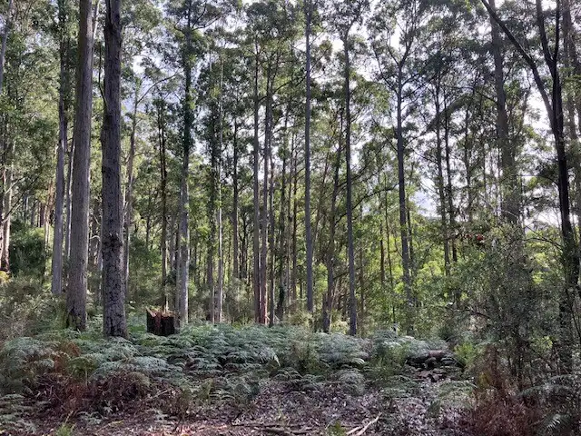 Second view of Homely rural property listing, Lot 1 Bannons Bridge Road, Gunns Plains TAS 7315